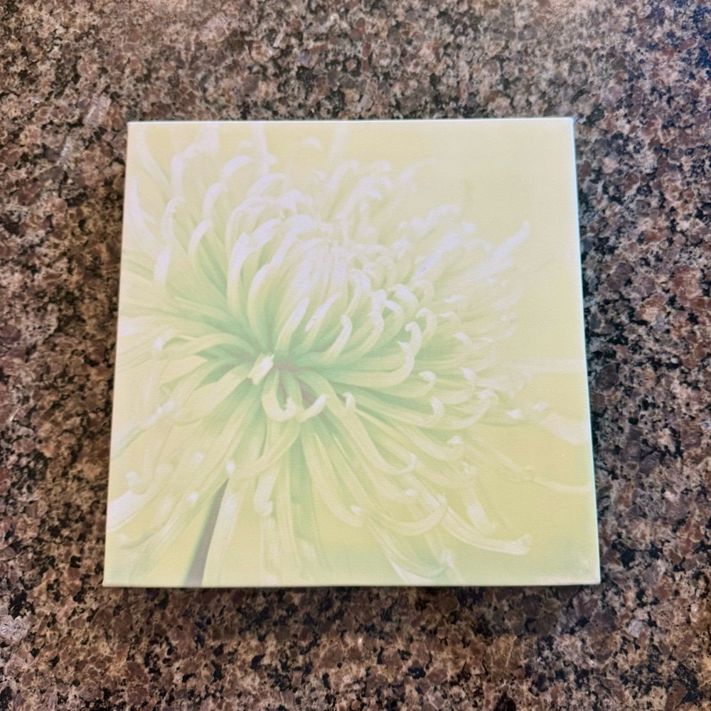 12” x 12” Flower Canvas Wall Art